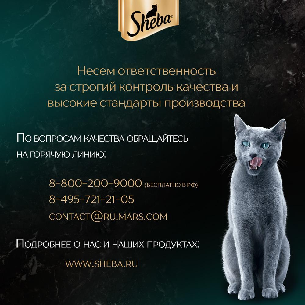 Паштет говядина в желе, 75г Sheba