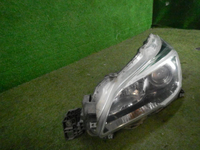 DSCN7671.JPG