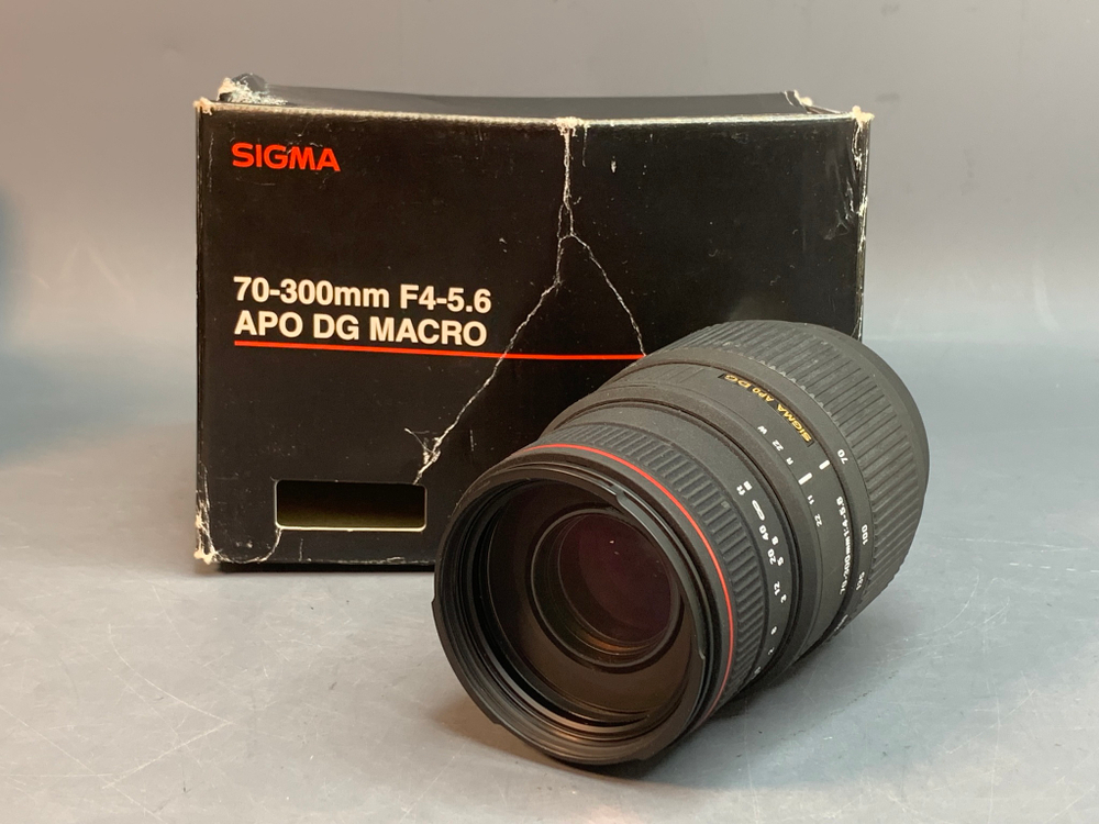 Sigma AF 70-300mm f/4-5.6 DG Macro for Sony A