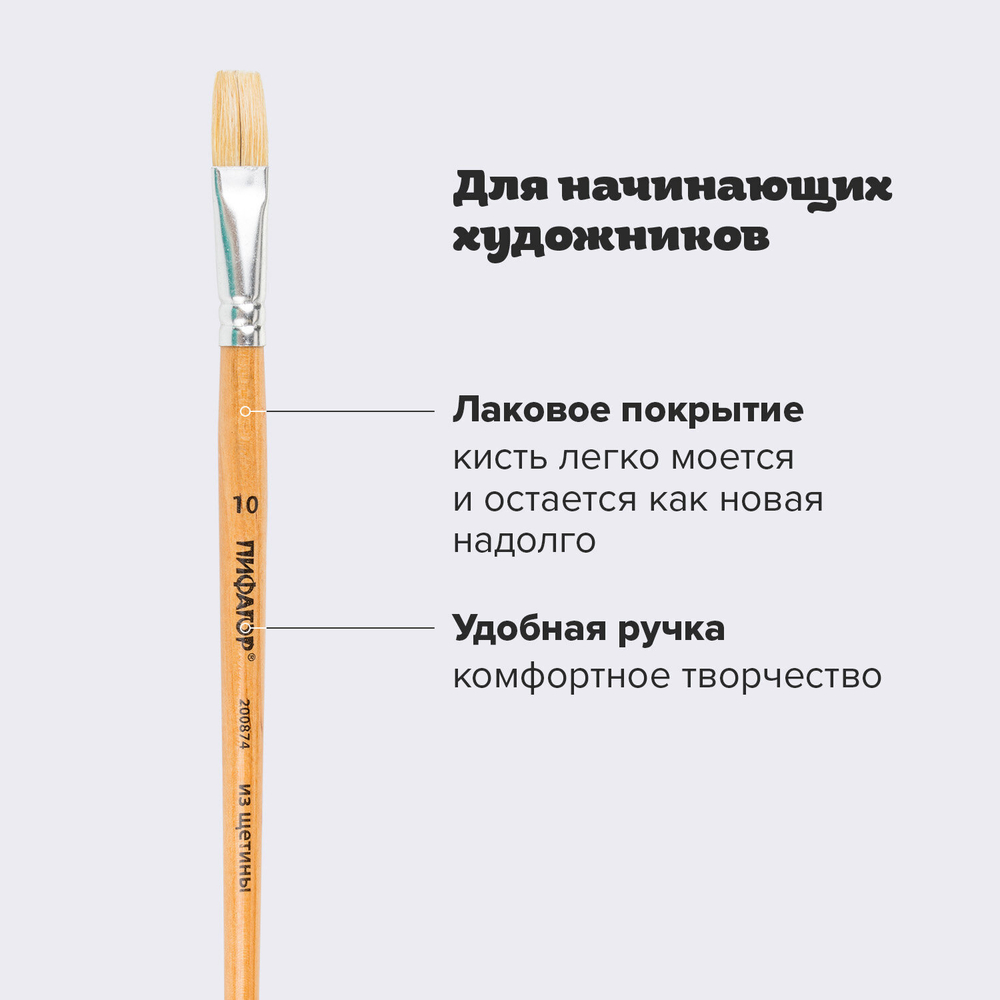 Кисть ПИФАГОР, ЩЕТИНА, плоская, № 10, деревянная лакированная ручка, пакет с подвесом, 200874
