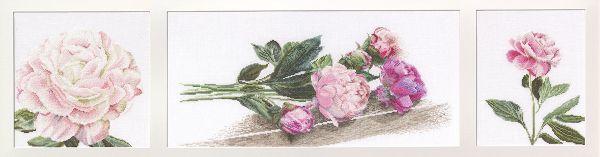 Набор для вышивания нитками Thea Gouverneur, Пионы, 82х19,5 см