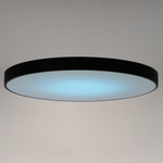 Citilux Купер CL724155G1 LED RGB Светильник с пультом Чёрный