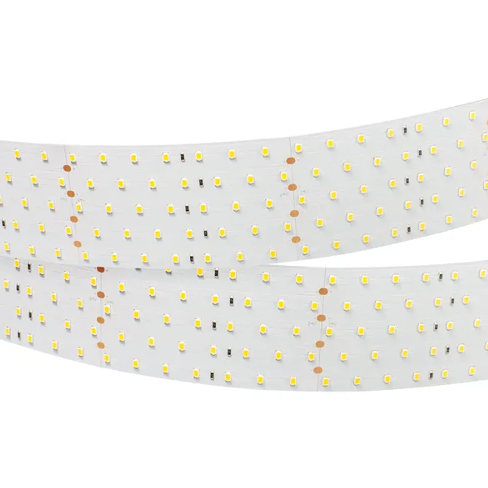 Светодиодная лента RT 2-2500 24V White6000 5x2 (2835, 875 LED, LUX) (Arlight, 36 Вт/м, IP20) 019082(B)