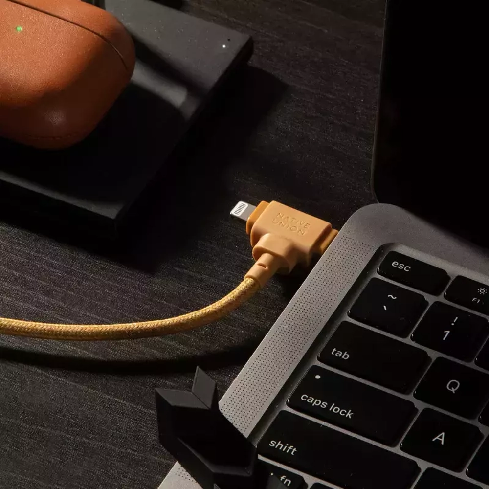 Кабель Native Union Belt Cable Duo 1,5 м (USB-C to USB-C/Lightning)