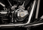 Harley-Davidson Fat Boy 117 Gray Ghost (Icon Collection)