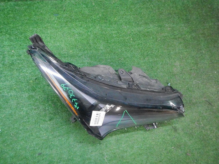 DSCN5649.JPG