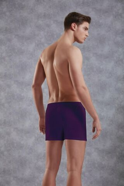 Хлопковые трусы-боксеры свободного покроя Doreanse Cotton Basic (Размер: L) (Цвет: бордовый)