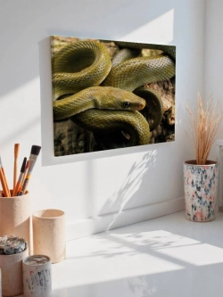 Картина на стену 40 X 50 Змея
