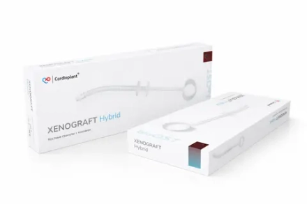 Гранулы в шприце XENOGRAFT Hybrid
