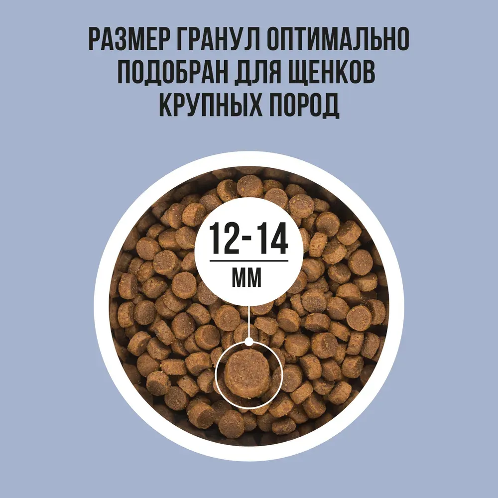 Сухой корм BOWL WOW для щенков крупных пород с ягненком, индейкой, рисом и добавлением черники