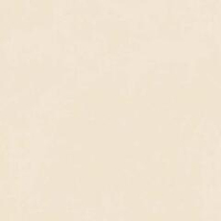 41zero42 Nok Ivory 120x120