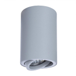 Накладной светильник Arte Lamp SENTRY A1560PL-1GY