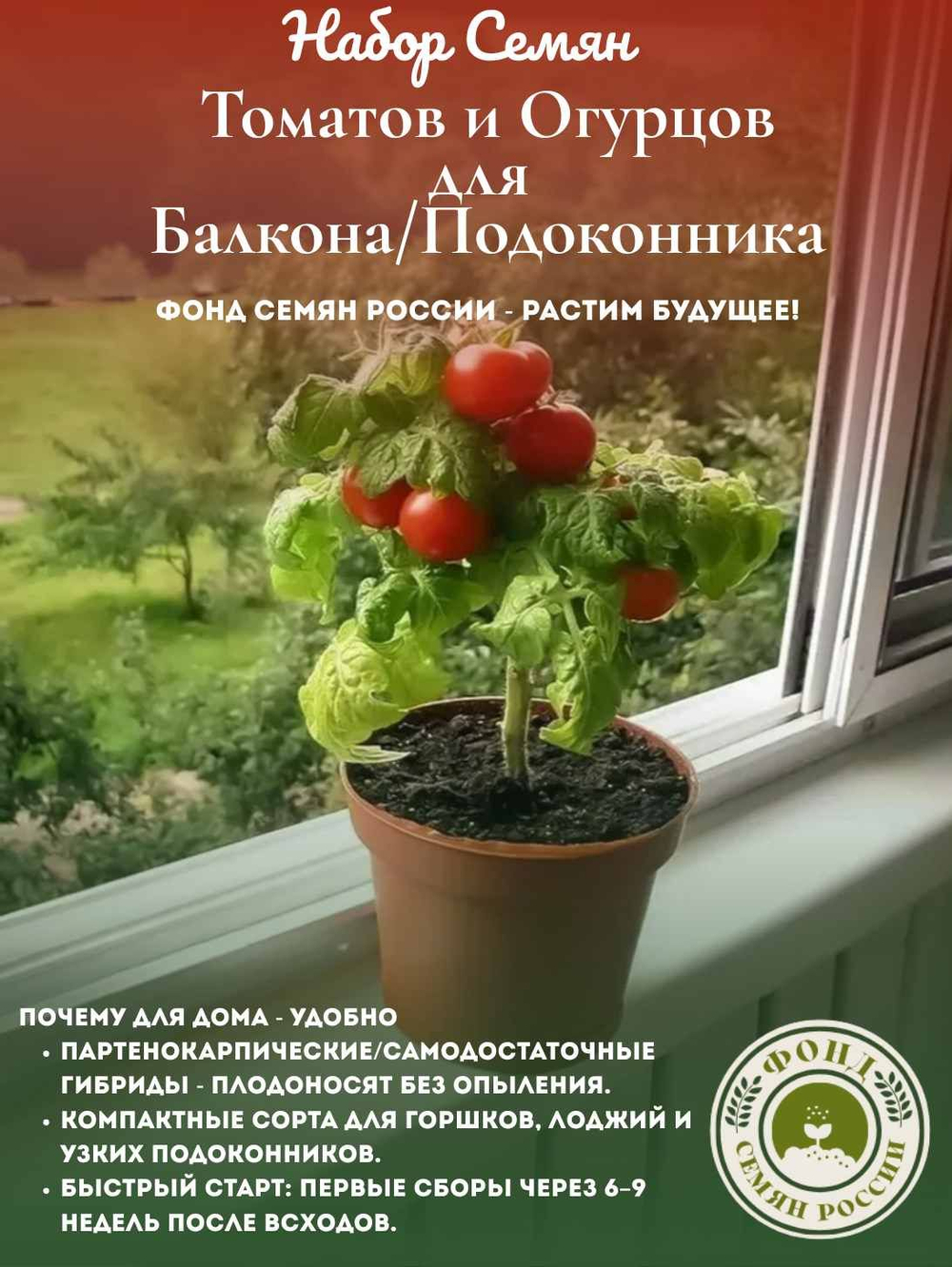 Набор семян для балкона и подоконника Томаты (помидор), Огурцы, 2 уп.