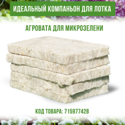 Лоток для выращивания свежей микрозелени / 18*11*5,5 см / 100 шт.