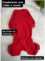 Трикотажный комбинезон для собак и кошек