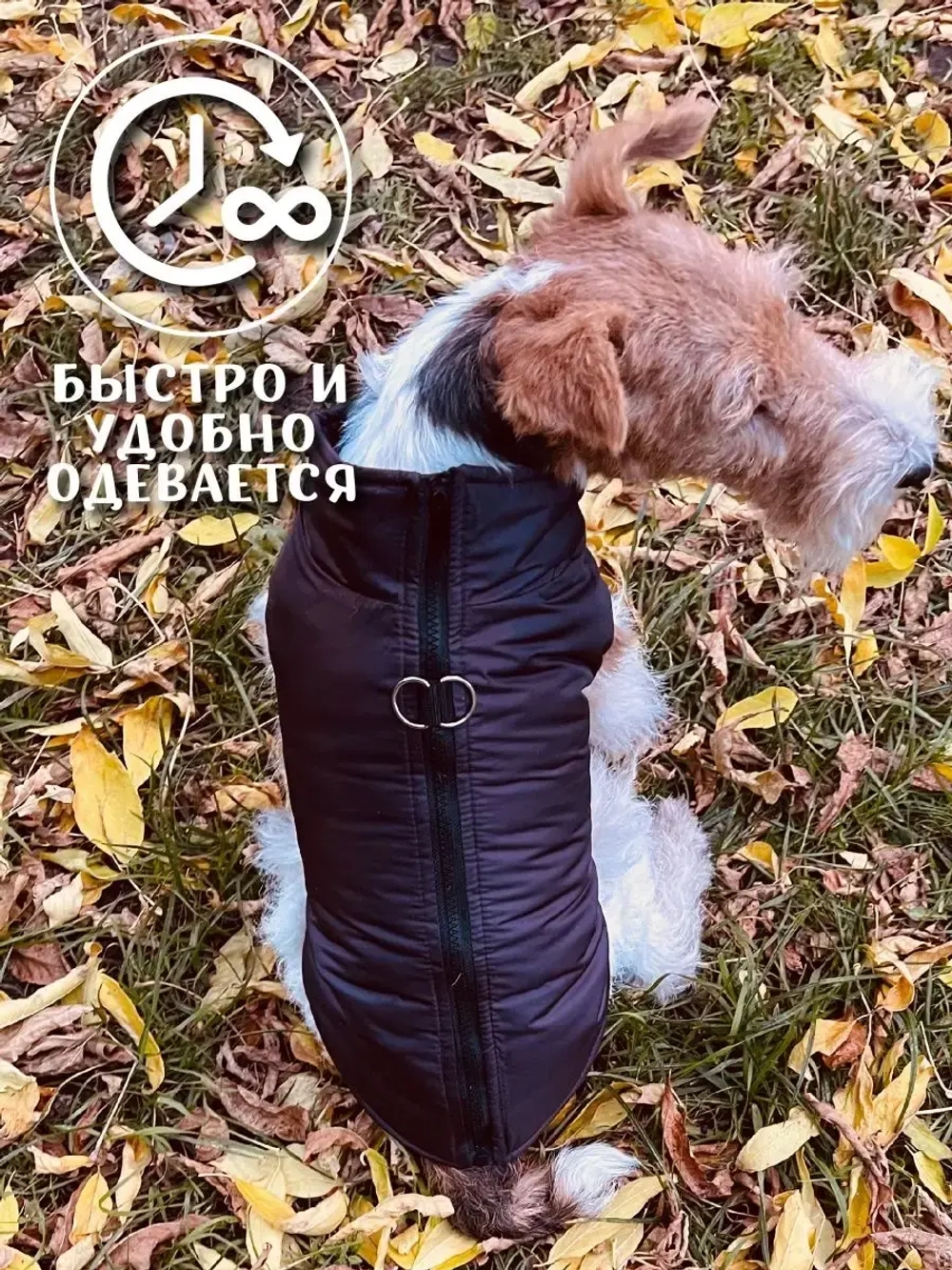 Жилет для собак мелких средних крупных пород