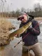 Виброхвост съедобный LJ pro series spark tail, 10,1 см, T57, набор 5 шт.