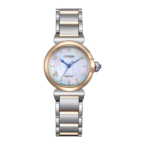 Наручные часы Citizen EM1136-87D
