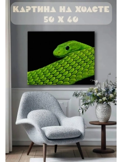 Картина на стену 40 X 50 Зеленая змея