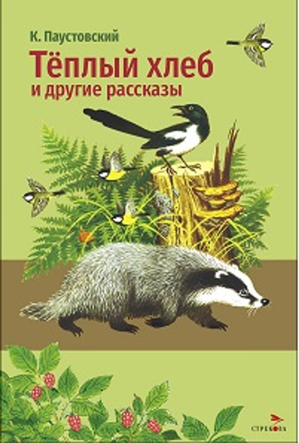 Внеклассное чтение