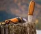 Morakniv Eldris Burnt Orange