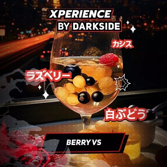 DARKSIDE XPERIENCE - Berry VS