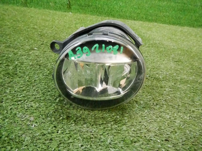 DSCN4282.jpg