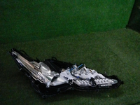 DSCN0020.JPG