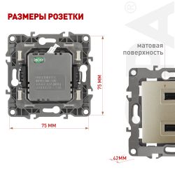 12-4110-04 ЭРА Устройство зарядное USB, 230В/5В-2100мА, IP20, Эра12, шампань | Эра 12