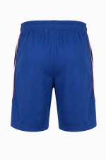 Шорты Nike Chelsea FC 26/27 Strike Junior - синий