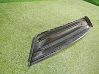 DSCN9808.jpg