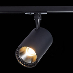 Светильник на штанге ST-Luce Cami ST351.446.20.36