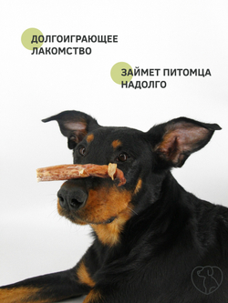 Бычий корень стручки — лакомство для собак, 250 грамм