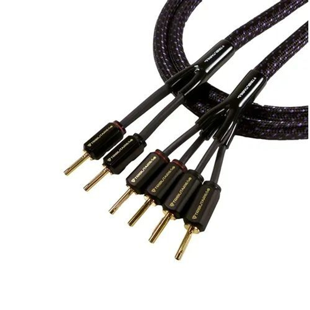 Кабель акустический Tributaries 6BW-B-100D 10 ft. 3m (2X4 Banana)