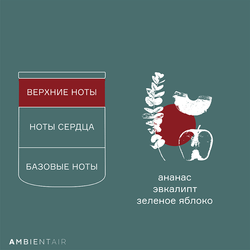 Свеча ароматическая Ambientair Gifting Корица и яблоко 40ч