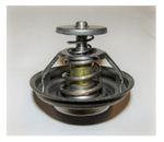 Термостат TDY 192 6LT(T=75C) /Thermostat