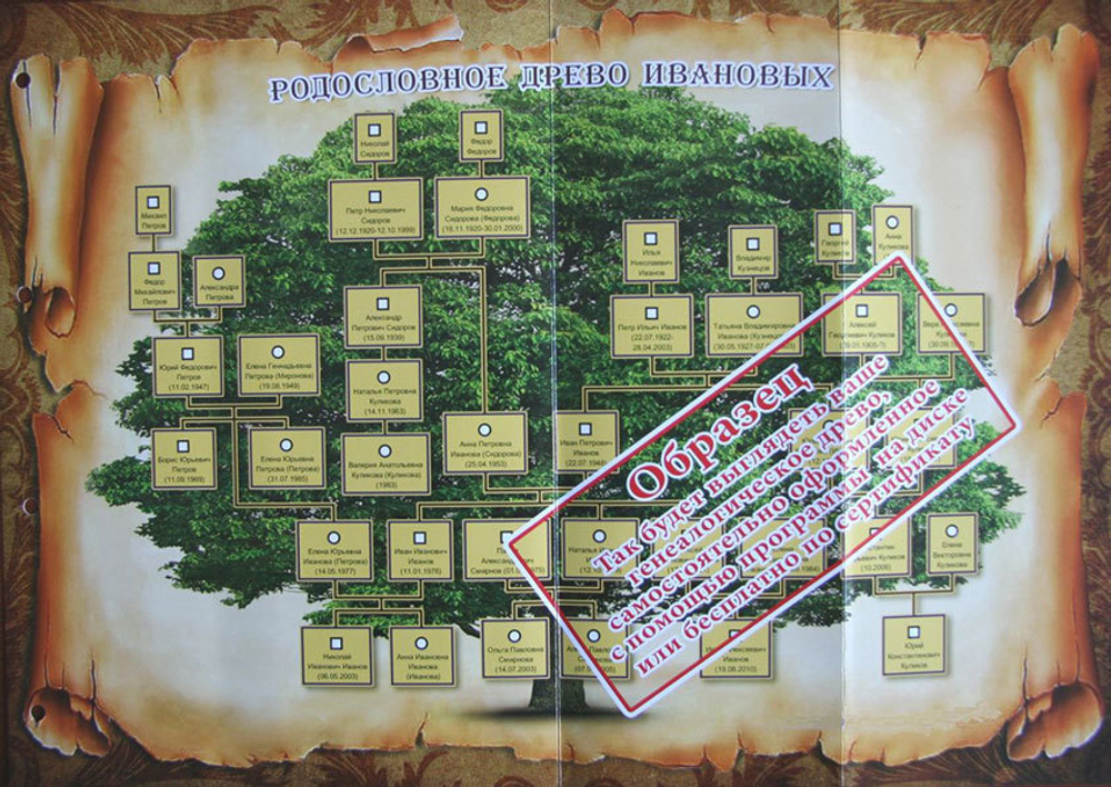 Родословная книга Изысканная с золоченым деревом (эко-кожа)
