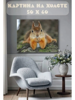 Картина на стену 40 X 50 Белка