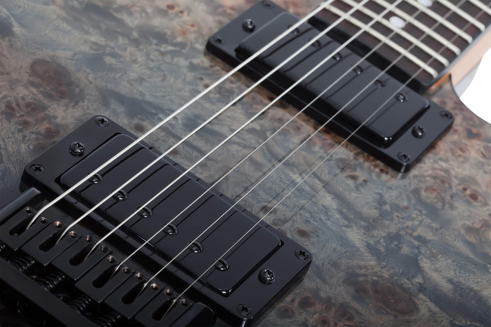 schecter_pt_standard_bfbb_9_2115685973.jpg
