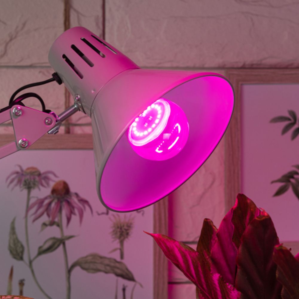 Фитолампа для растений светодиодная ЭРА FITO-10W-RB-E27 красно-синего спектра 10 ВТ Е27 | Фитолампы Е27
