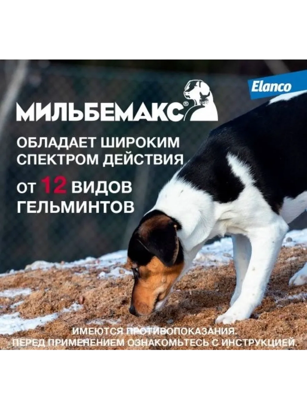 Мильбемакс для собак 2табл