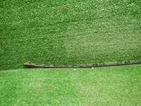 DSCN3792.JPG