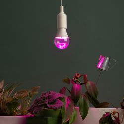 Фитолампа для растений светодиодная ЭРА GREEN LINE ФИТО A65-20W-PL-E27-GR розового свечения 20 Вт Е27 | Фитолампы Е27
