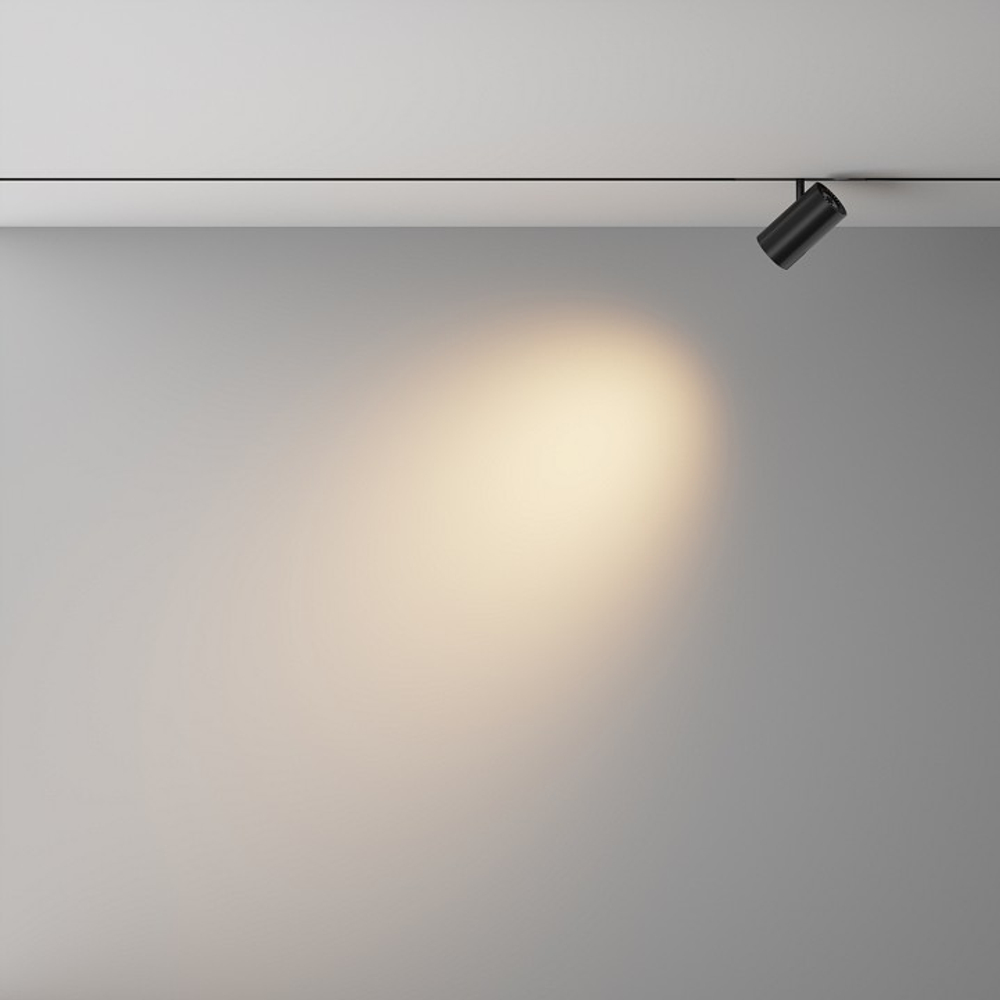 Светильник на штанге Maytoni Technical Focus Led TR243-12W3K-B