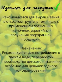 Семена Патиссон "Сани Делайт" набор 15 шт