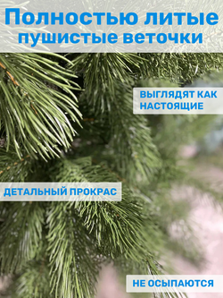 Сосна Царь елка Триумфальная 180 см ТМ-180