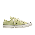 Converse Chuck Taylor All Star Canvas Shoes Unisex Low top Green/White