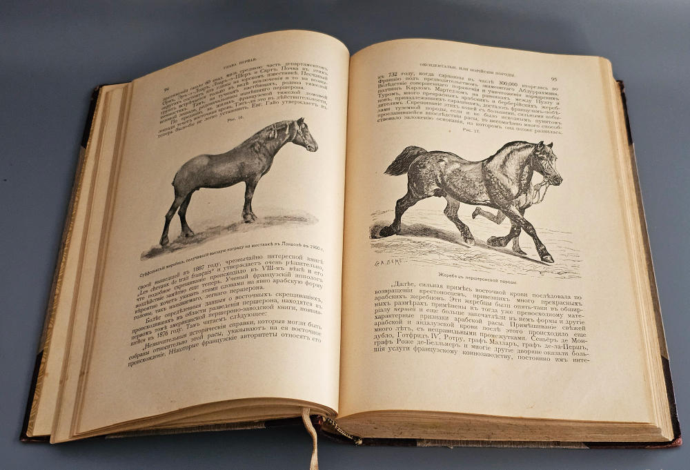 "Книга о лошади. Настольная книга для каждого коннозаводчика, коневода, коневладельца и любителя лошади". С.П. Урусов. 1902г. - раритет