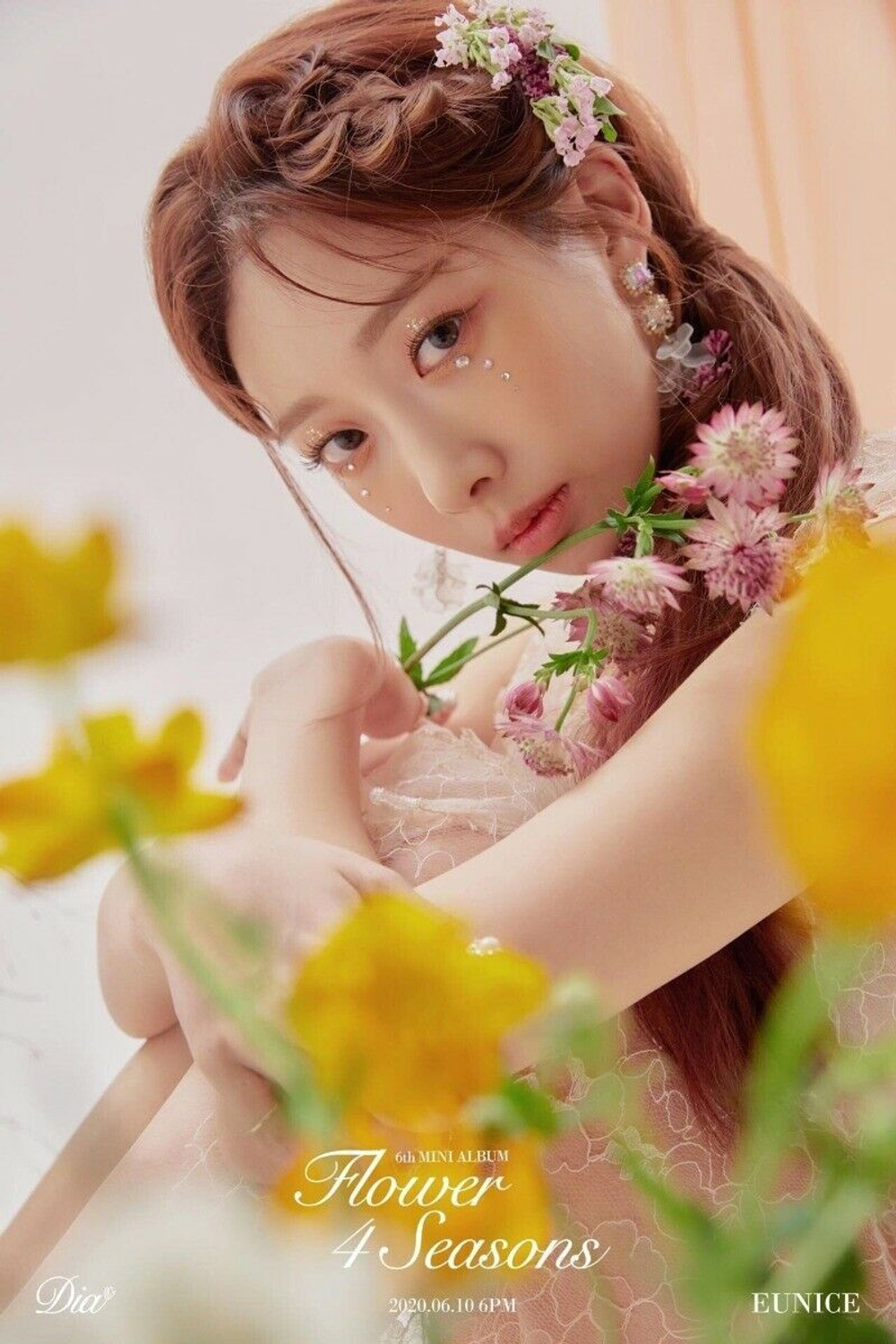 Альбом DIA - Flower 4 Seasons 6th Mini Album 2 Version SET
