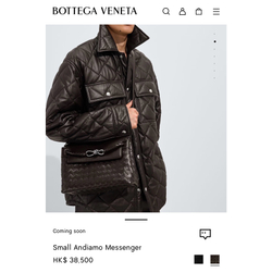 Сумка через плечо Bottega Veneta Small Andiamo